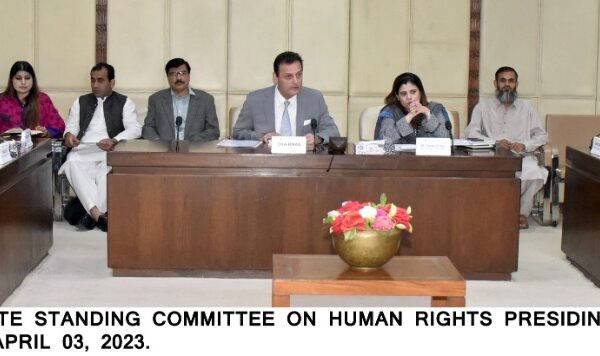 F9 Park incident, the Senate Standing Committee on Human Rights took serious note of the flaws in the investigation process.